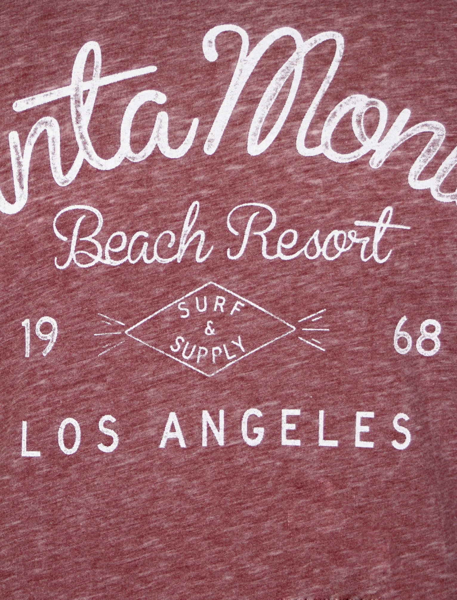 Franklin Bay T-Shirt in Oxblood - Tokyo Laundry